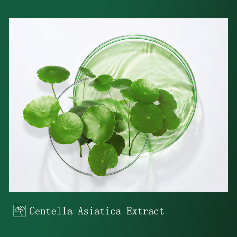 8 Buah Masker Lumpur Centella  - Dust Mask Construction ulasan dan harga